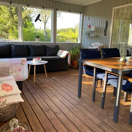 Magical For Kids And Adults *